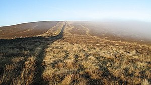 Black Knowe - geograph.org.uk - 1620652.jpg