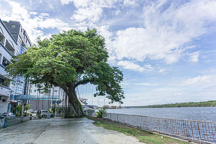 Belait River in town