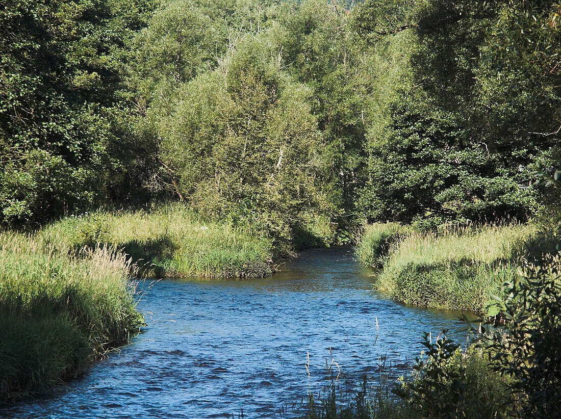 Kalte Bode