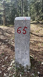 65