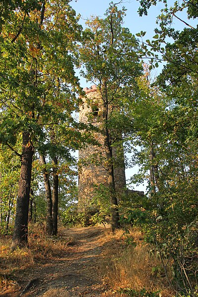 File:Bukowiec, park, 2018 (03).jpg