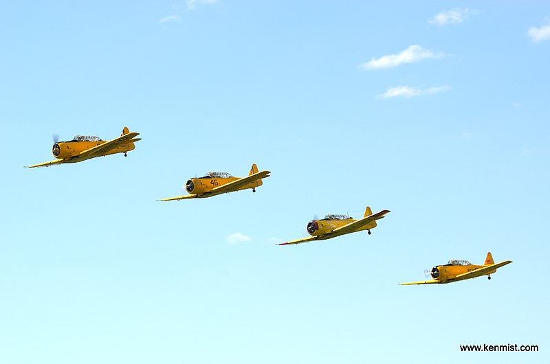 File:COPA Convention and Fly-In 2012 (7432660412).jpg