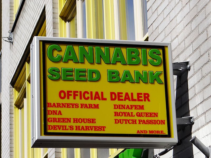 File:Cannabis seed bank Amsterdam.jpg