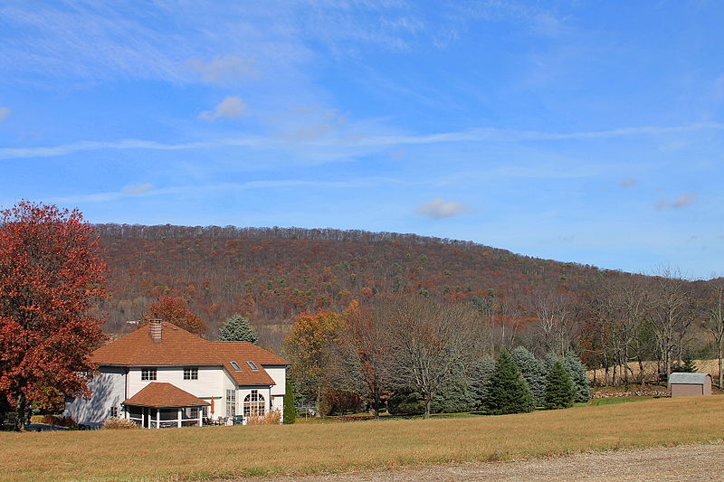 File:Catawissa Mountain from the west in November (2).JPG