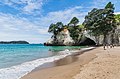 * Nomination Cathedral Cove on Coromandel Peninsula, North Island of New Zealand. --Tournasol7 06:10, 27 April 2019 (UTC) * Promotion  Support Good quality. --Ermell 06:20, 27 April 2019 (UTC)