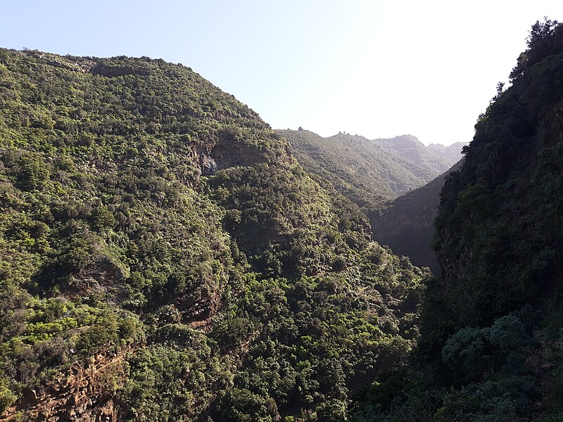 File:Coastal trail 130, Barranco Gallegos in, La Palma.jpg