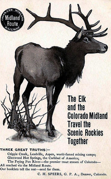 File:Colorado Midland Railway postcard ad circa 1900.JPG