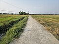 wikimedia_commons=File:Concrete road at Kareemadom.jpg