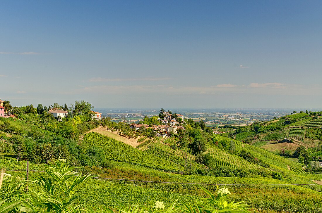 Corvino San Quirico