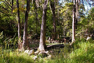 <span class="mw-page-title-main">Honey Creek State Natural Area</span> Nature preserve in Texas, US