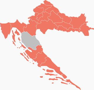 <span class="mw-page-title-main">2009–10 Croatian presidential election</span>