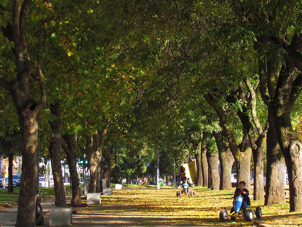 File:Curico, alameda (19078593874).jpg - Wikimedia Commons