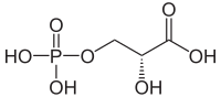 D-3-Phosphoglycerinsäure.svg