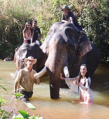 DKoehl Airavata Elefanten Fräulein Kambodscha Saritha Reth und Fräulein Somanika Suon Pierre-Yves Clais 2020 12 13.jpg
