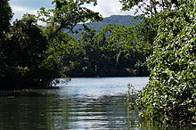 Confluent of tributary (foreground) and the Daintree (background)