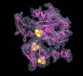 File:De-novo-modeling-of-the-F420-reducing-NiFe-hydrogenase-from-a-methanogenic-archaeon-by-cryo-elife00218v003.ogv