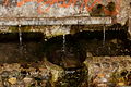 Font d'en Roure (Olesa de Montserrat)