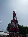 Diada castellera de les festes de primavera del 2014 a Sant Feliu de Llobregat. Hi actuaven els Castellers de Sant Feliu (camisa rosa), els Castellers de Viladecans (camisa verda) i els Castellers de Santa Coloma (camisa blau cel).Template:Location dec