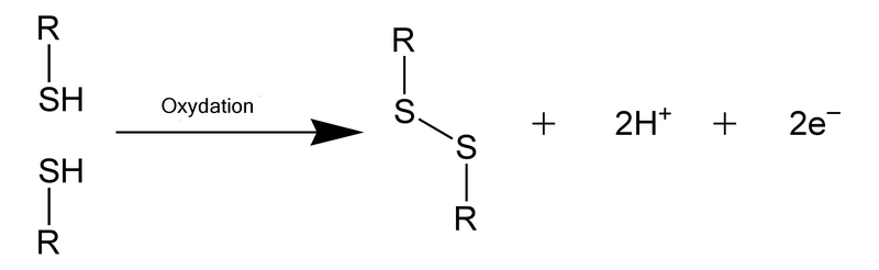 File:Disulfide-bond copie.png