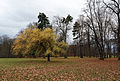 Čeština: Dobroslavice, zámecký park.