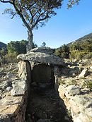 Dolmen del Font del Roure.JPG