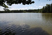 Čeština: Dolní velký rybník (24,78 ha) v k.ú. Údolí u Nových Hradů, obec Nové Hrady, okres České Budějovice. English: Dolní velký pond in Nové Hrady, České Budějovice District, South Bohemian Region, Czechia.