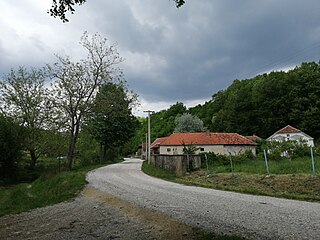 <span class="mw-page-title-main">Donje Komarice</span> Place in Šumadija, Serbia