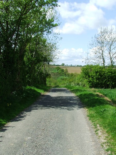 File:Down Hill Road - geograph.org.uk - 1286716.jpg