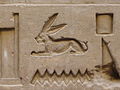 Detalle de liebre sobre el jeroglífico del agua (una ondulación)