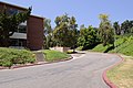 * Nomination Sycamore Lane, Cal Poly Pomona, with Encinitas Hall to the left. --King of Hearts 03:11, 6 May 2020 (UTC) * Promotion  Support Good quality. --XRay 03:51, 6 May 2020 (UTC)