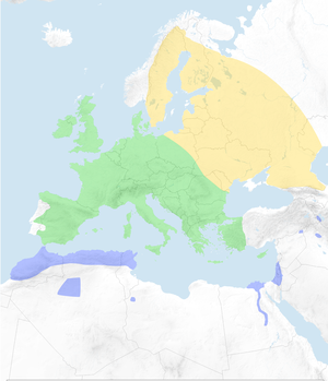 Erithacus Rubecula