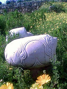 Two damaged white marble wheel like column bases lying in a yellow flower filled field. The front base shows finely carved intertwining circular decorations.