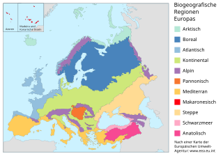 Die Biogeographie (Biogeografi