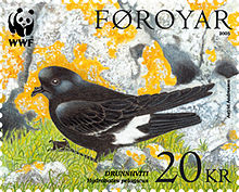 The European storm petrel (Hydrobates pelagicus), or drunnhviti, can be best observed in Nolsoy in the biggest colony of the species in the world. Faroe stamp 525 storm petrel.jpg