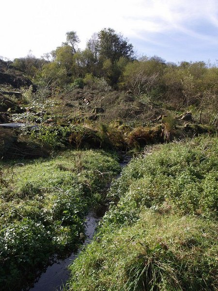 File:Felled woodland at Hexworthy - geograph.org.uk - 597175.jpg