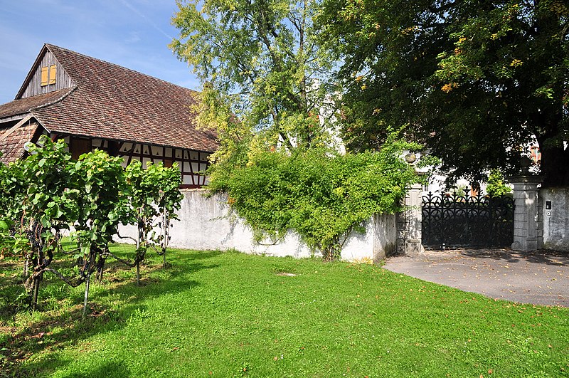 File:Flaach - Schloss mit Oekonomie, Trotte und Brunnen, Schloss 396 2011-09-25 13-18-40.JPG