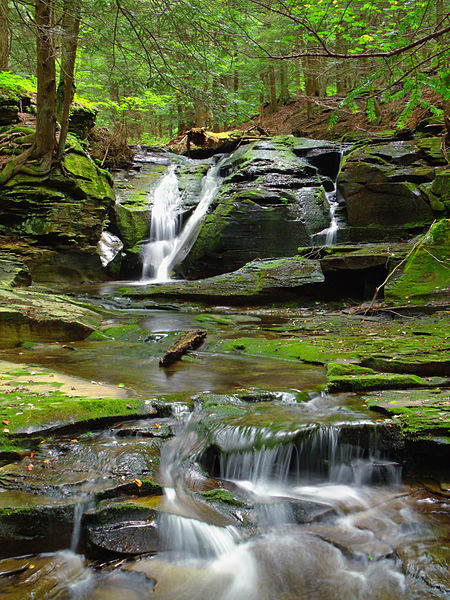 File:Flickr - Nicholas T - East Branch Falls (Upper Part) (3).jpg