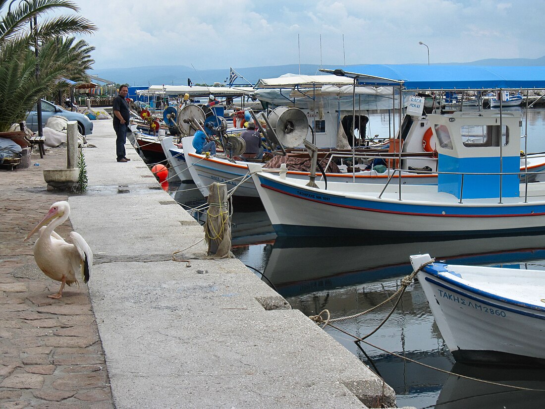 Kalloní (Lesbos)