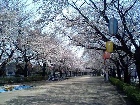 Fujimino, Saitama