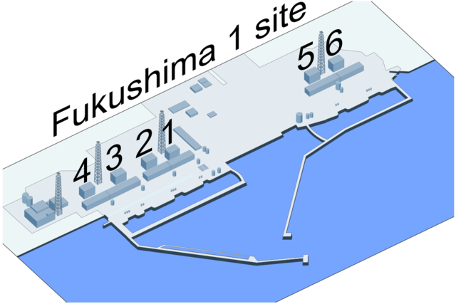 Jun Fukushima, Wiki