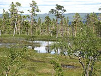 Nacia Parko Fulufjället