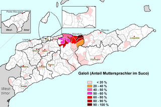 <span class="mw-page-title-main">Galoli language</span> Timoric language spoken in East Timor