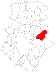 Găneasa - Carte