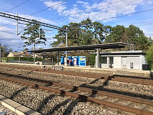 Gölgelik kaplı platform