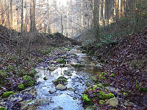 Geissweidbach (Lunnerenbach)