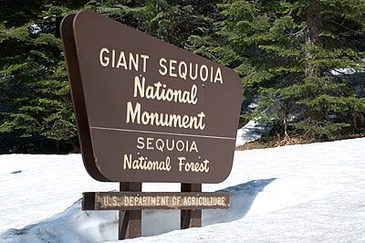 Entrance sign to Giant Sequoia National Monument.