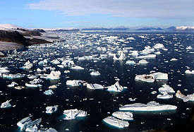 Glaciers and Icebergs at Cape York.jpg