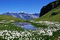 دریاچه کوهستانی در کوه‌های آلپ سوئیس