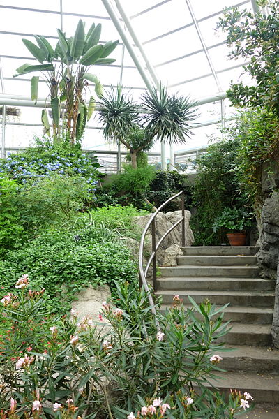 File:Glass house view - Brooklyn Botanic Garden - Brooklyn, NY - DSC08178.JPG