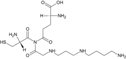 Glutathionylspermidine.png